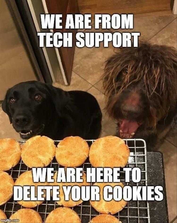 Hilarious Dog Memes Tech Support
