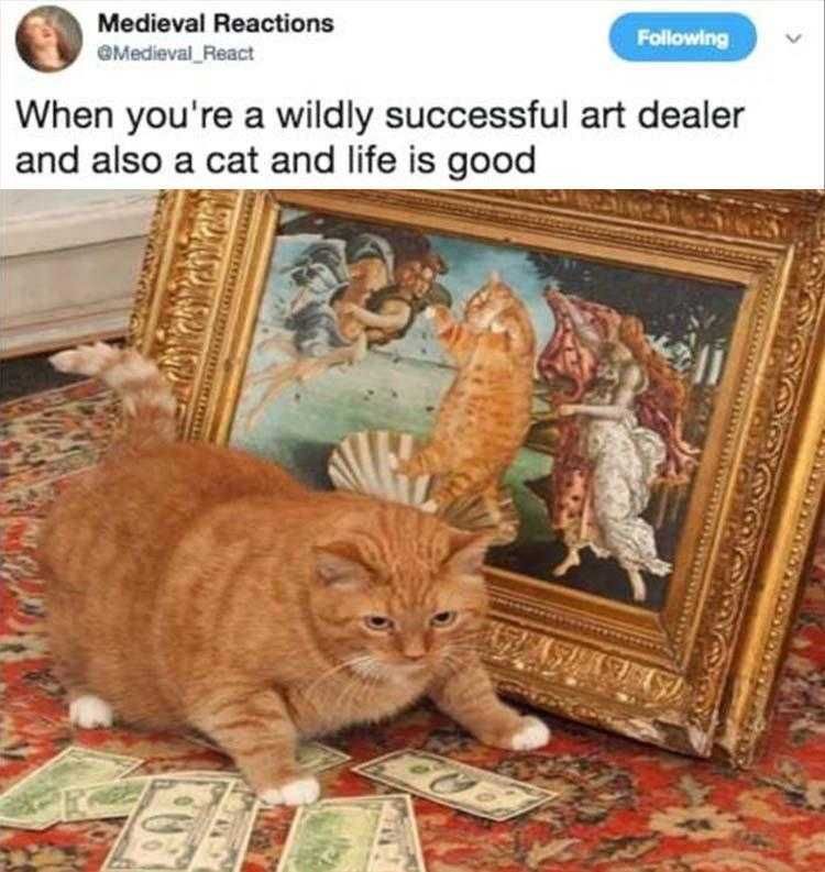 Top 30 Funny Animal Memes Of The Day 5Fcf94De87Db0