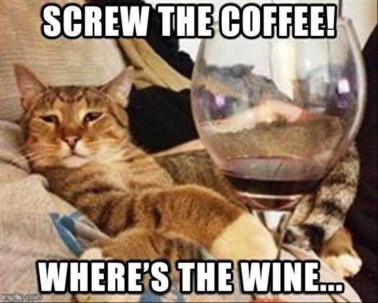 Funniest Animal Memes Wine Time