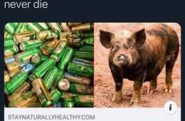 Top 30 Funny Animal Memes Of The Day 5Feb4457967Cb
