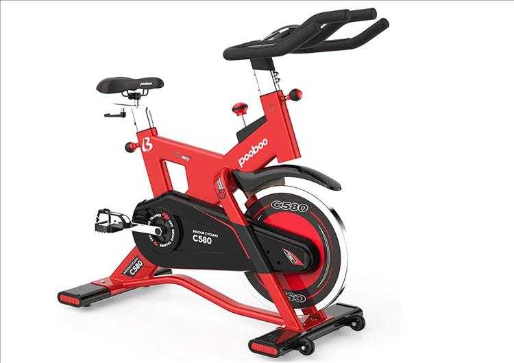 Cool Christmas Gift Ideas Pooboo Stationary Bike