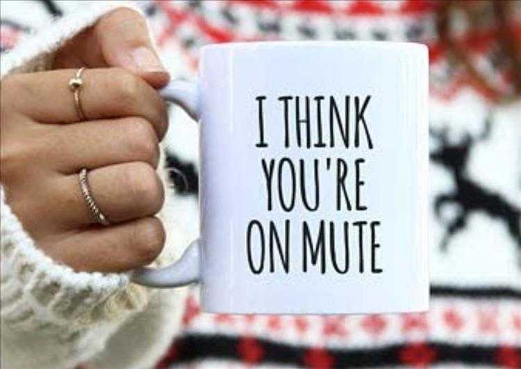 White Elephant Christmas Gifts  I Think You're On Mute