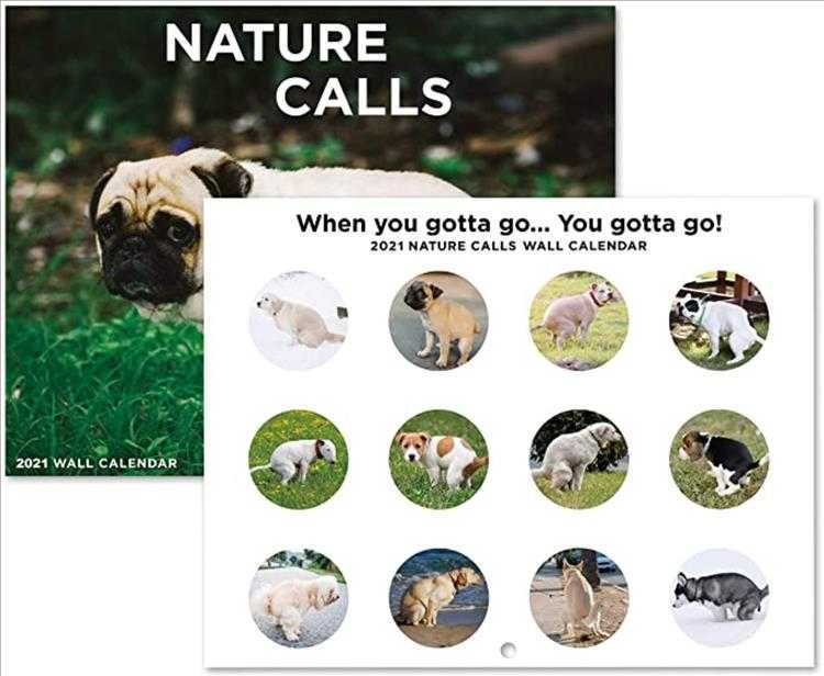 White Elephant Christmas Presents  Nature Calls Calendar