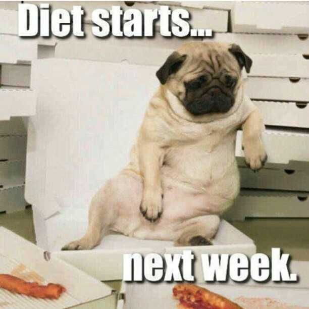 Tumblr_Mjsshbiizr1Rdecnqo1_640 Funny Gym Memes Eat Today, Gym Tomorrow