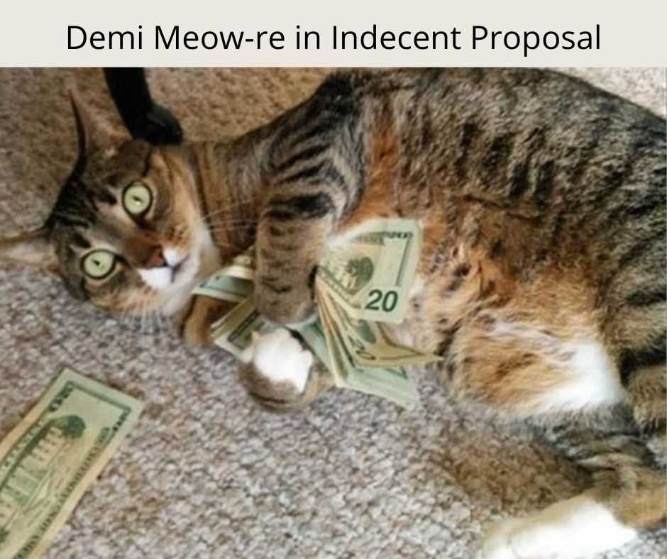 23-Hysterical-Pet-Memes-You-Can-Relate-To-16 Hilarious Pet Memes Demi Meowre