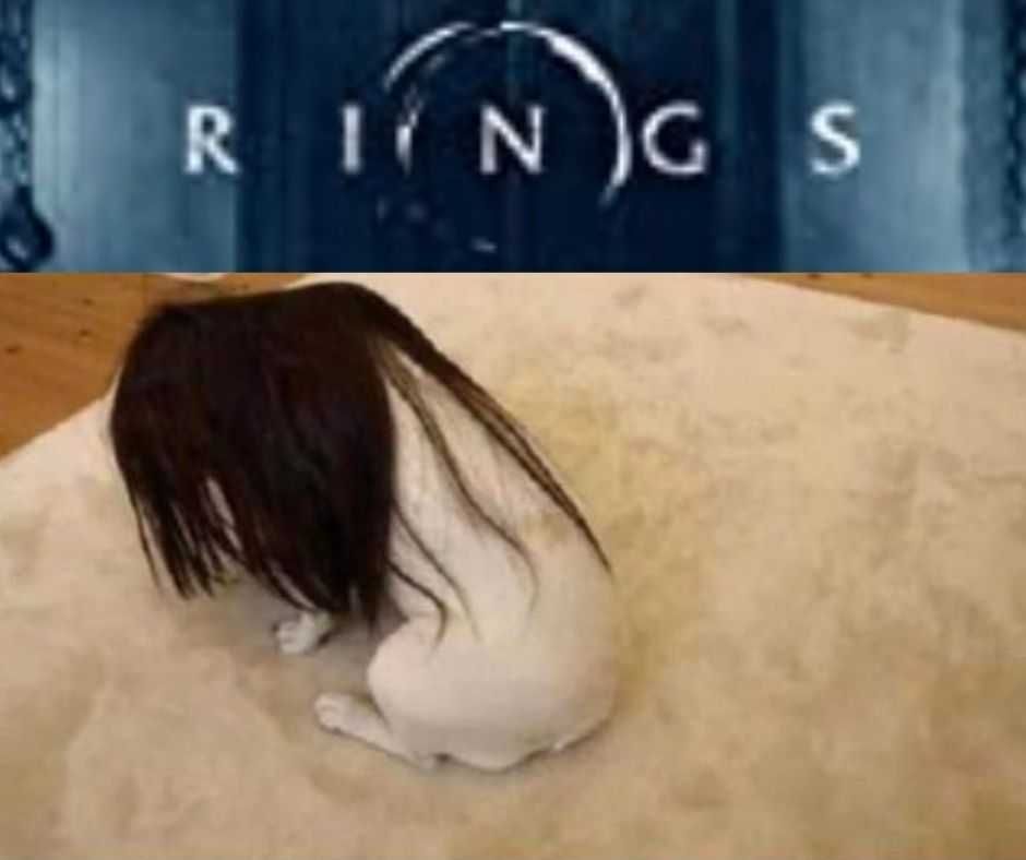 23-Hysterical-Pet-Memes-You-Can-Relate-To-19 Hilarious Pet Memes Stealing Wig Leads To Horror