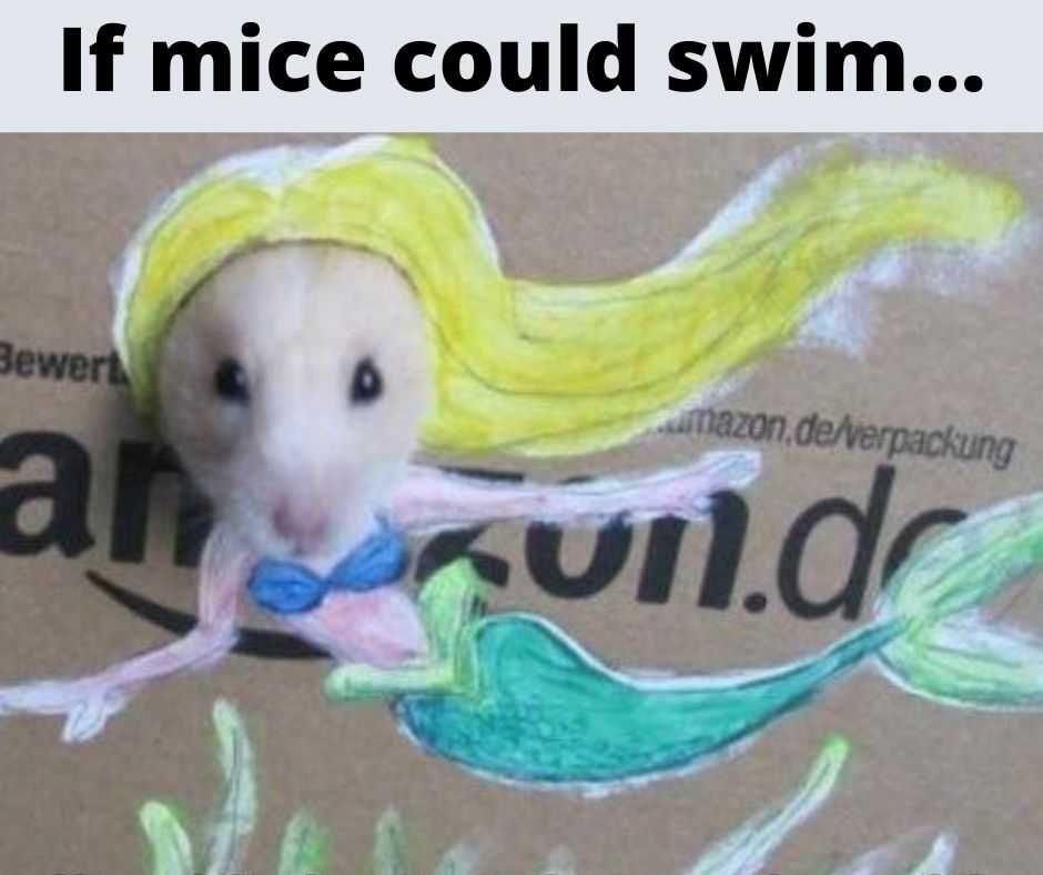23-Hysterical-Pet-Memes-You-Can-Relate-To-9 Hilarious Pet Memes Underwater World