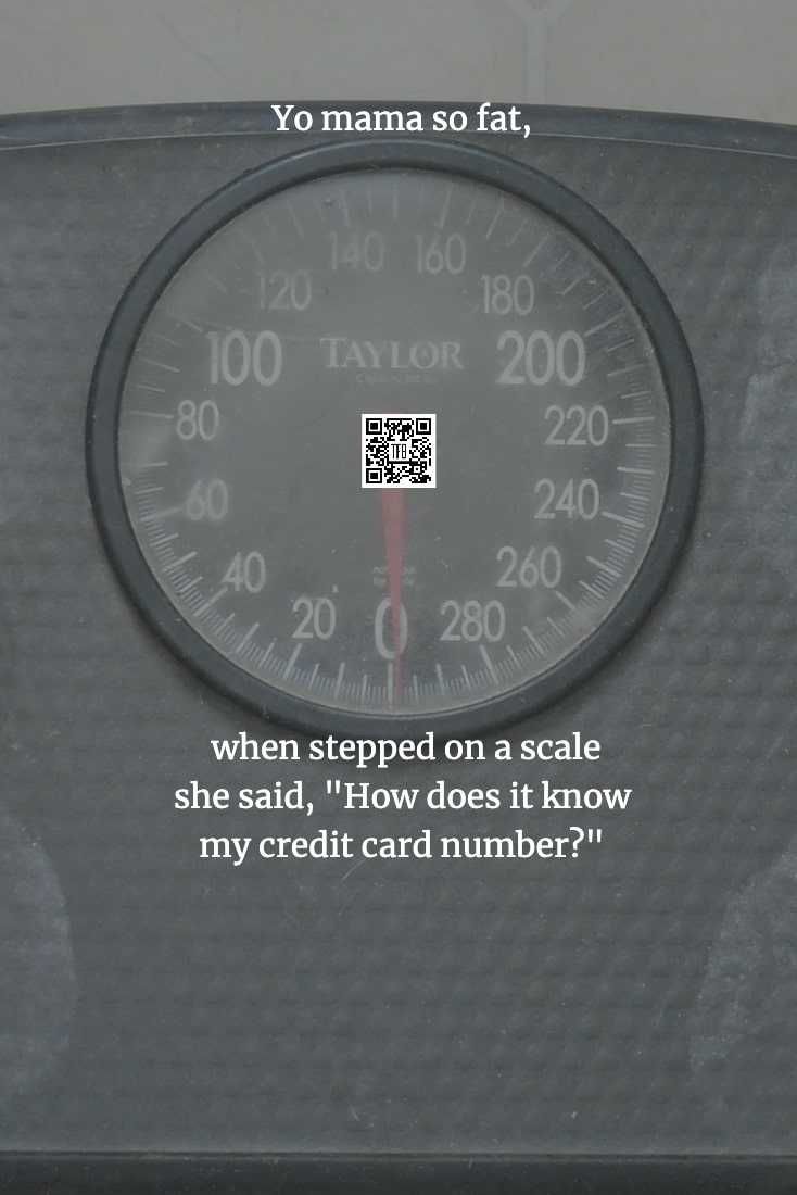 Hilarious-Yo-Mama-Jokes-26 Yo Mamma Jokes Credit Card
