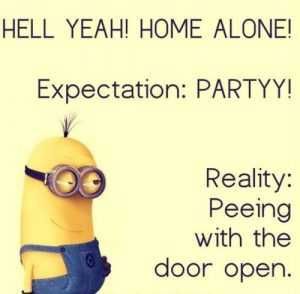 Top-40-Funny-Minions-Memes-Quoteshumor Top 40 Funny Minions Memes Quoteshumor E1611757243113