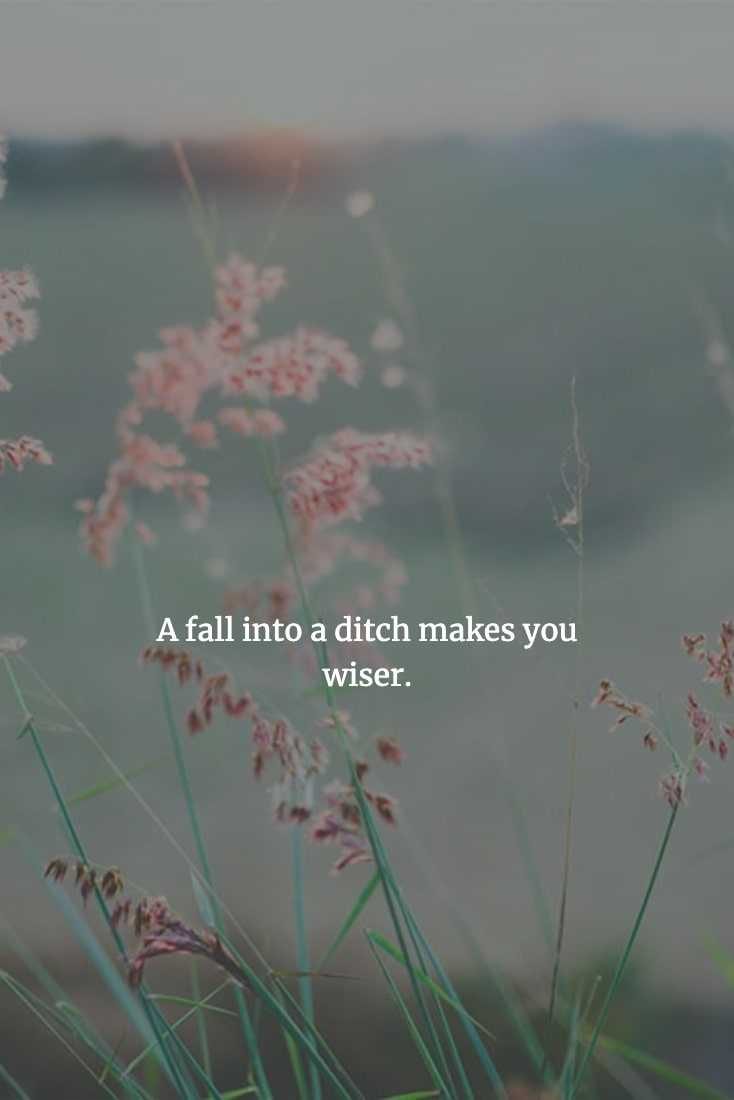 Chinese Proverbs  Learn Through Failure