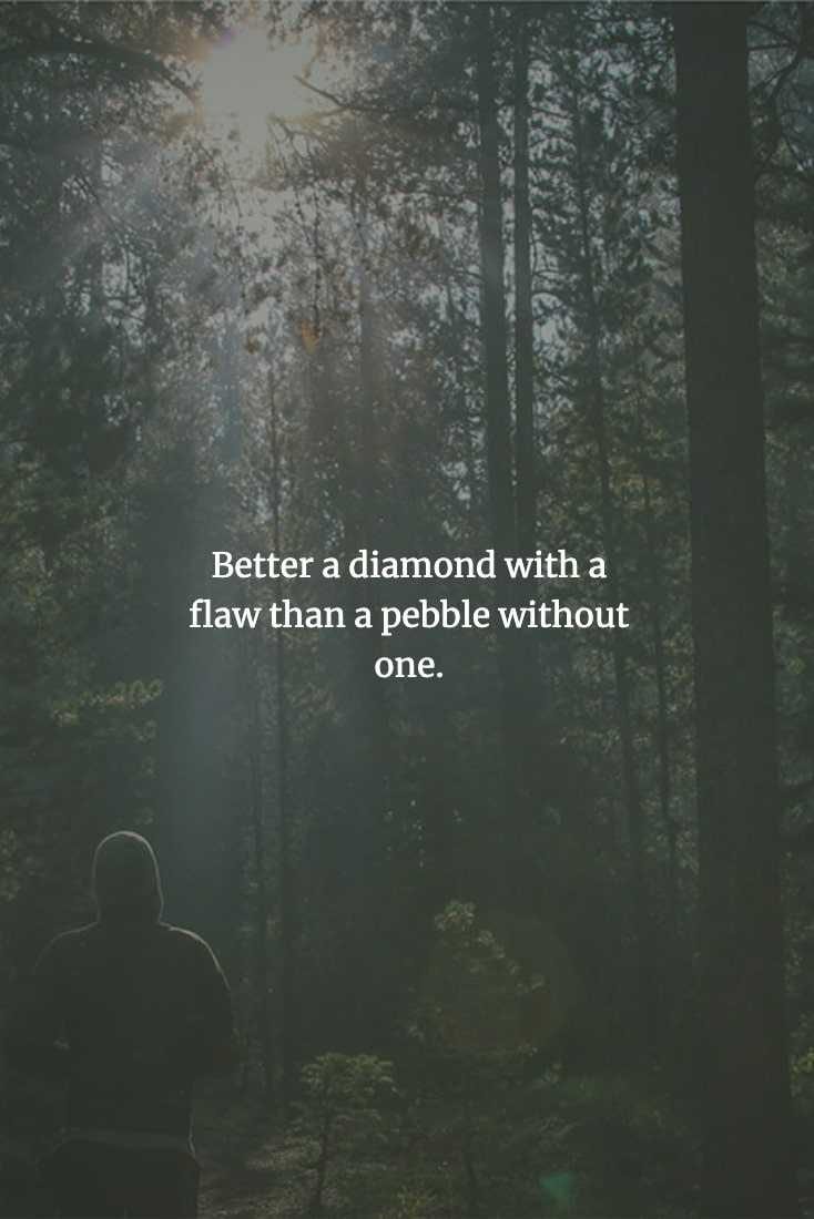 Chinese Proverb  Accept The Good With The Bad