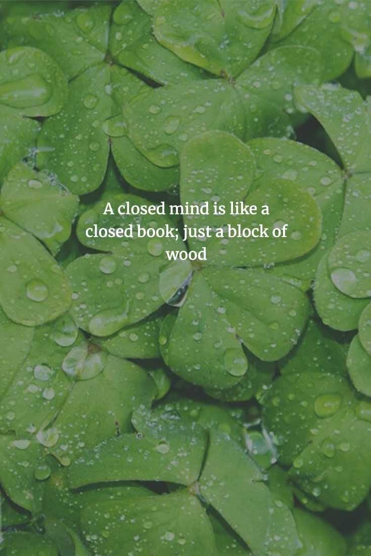Chinese Proverb  Being Close Minded Is To Be Useless
