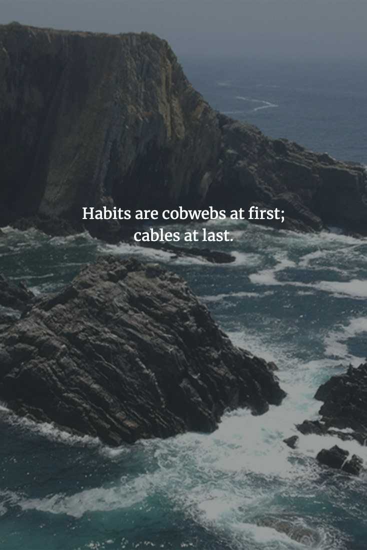 Chinese Proverbs  Habits Are Easy To Break When New, But Impossible When Formed
