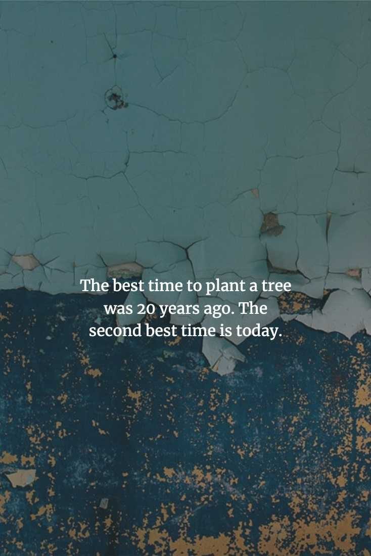 Wise Chinese Proverbs  It's Never Too Late To Make A Start