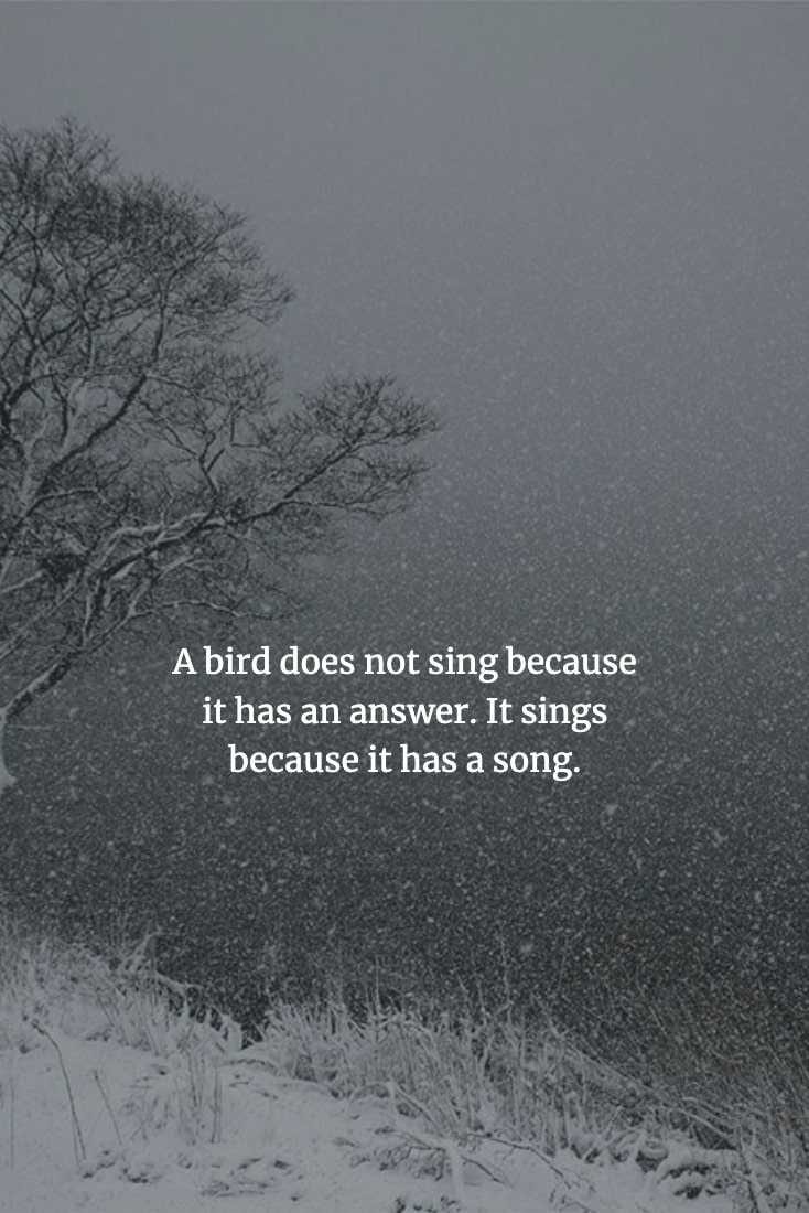 Wise Chinese Proverbs  Express Yourself Purposefully