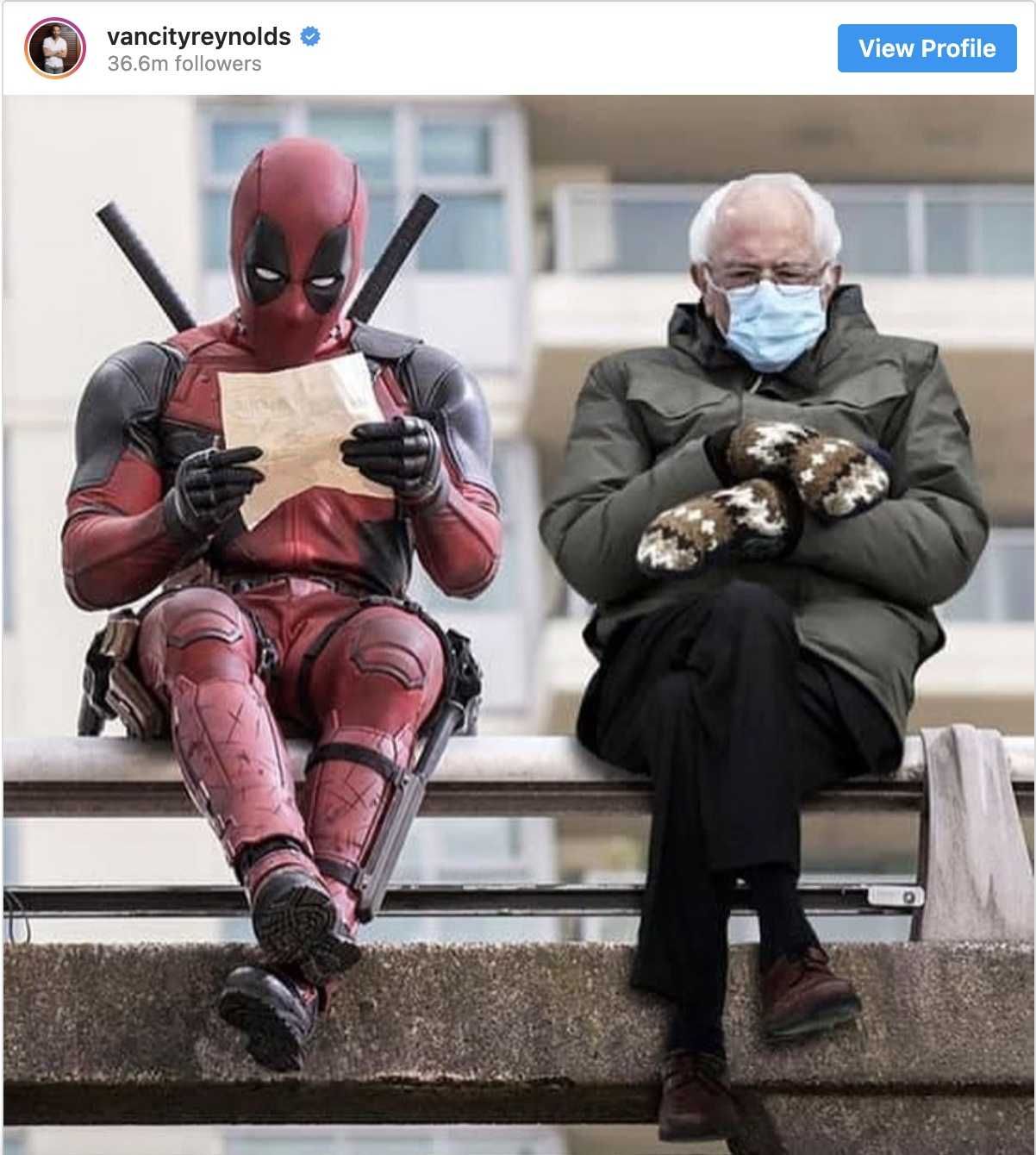 Cold-Bernie-Memes-11 Cold Bernie Inauguration Memes Dead Pool