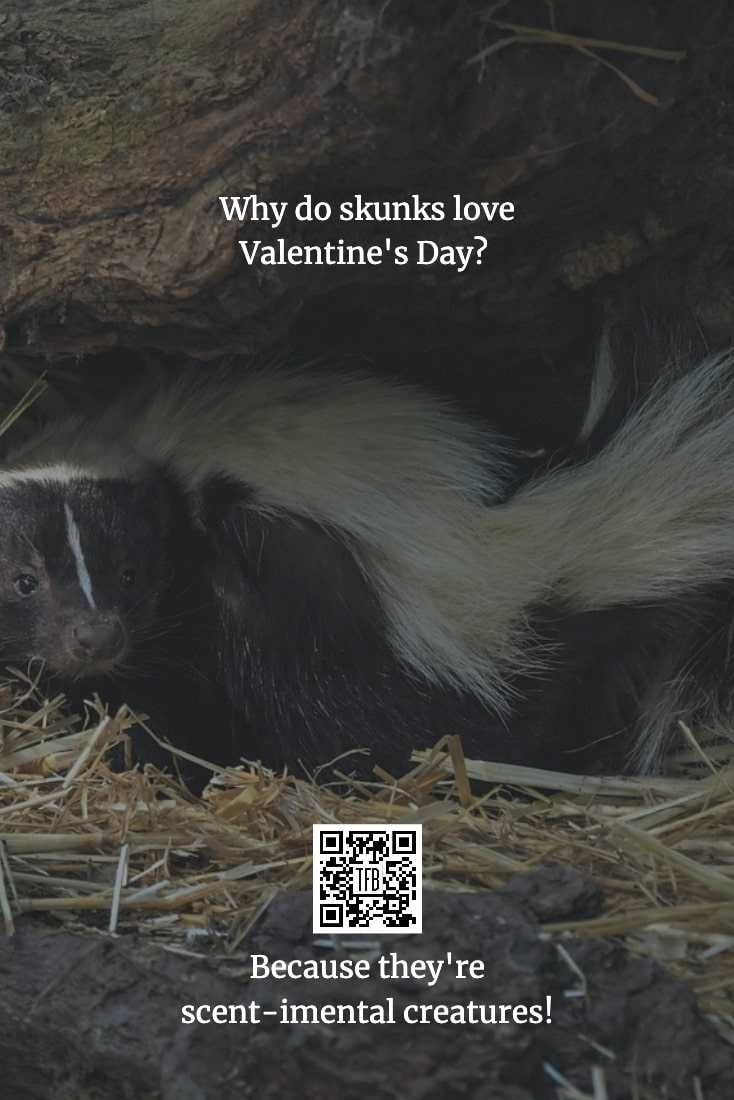 Funny-Jokes-Short-Stories-Tell-Your-Boyfriend-Valentines-Day-1 Funny Clean Valentines Jokes Joke Stinks