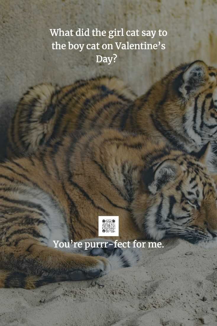 Funny-Jokes-Short-Stories-Tell-Your-Boyfriend-Valentines-Day-5 Funny Jokes Short Stories Tell Your Boyfriend Valentines Day 5