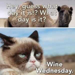 Guess-What-Wednesday-Meme Guess What Wednesday Meme