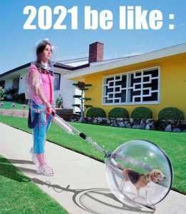 Meme16 Funny 2021 Predictions Walking Dog