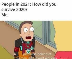 Meme7New Meme7New