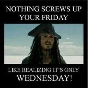 Sparrow-Hump-Day-Meme- Sparrow Hump Day Meme