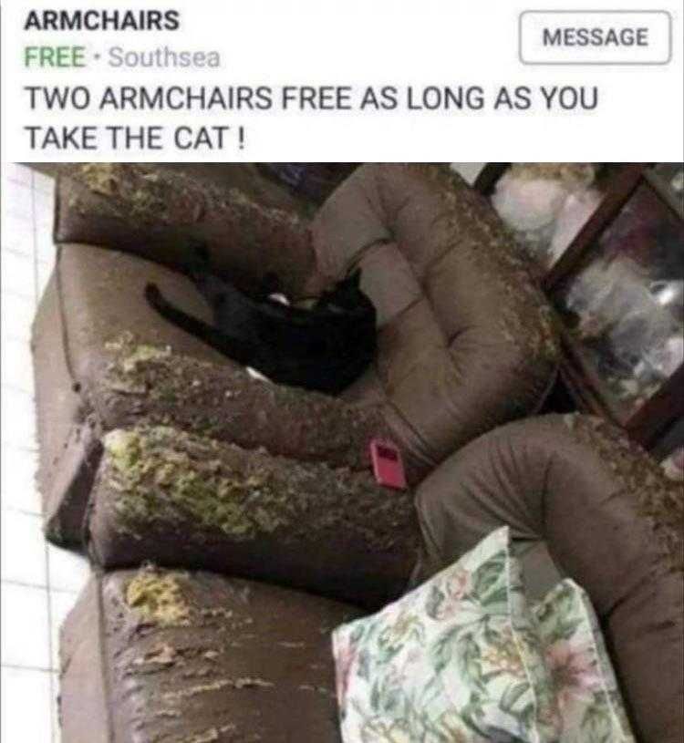 Top 21 Funny Cats And Dogs Pictures Of The Day Good Deal
