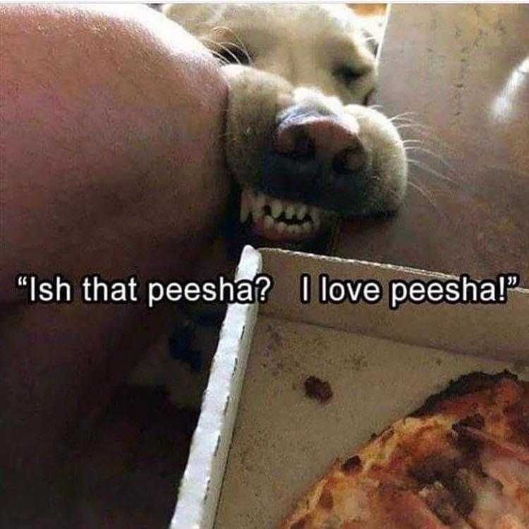 Lol Dogs Peesha