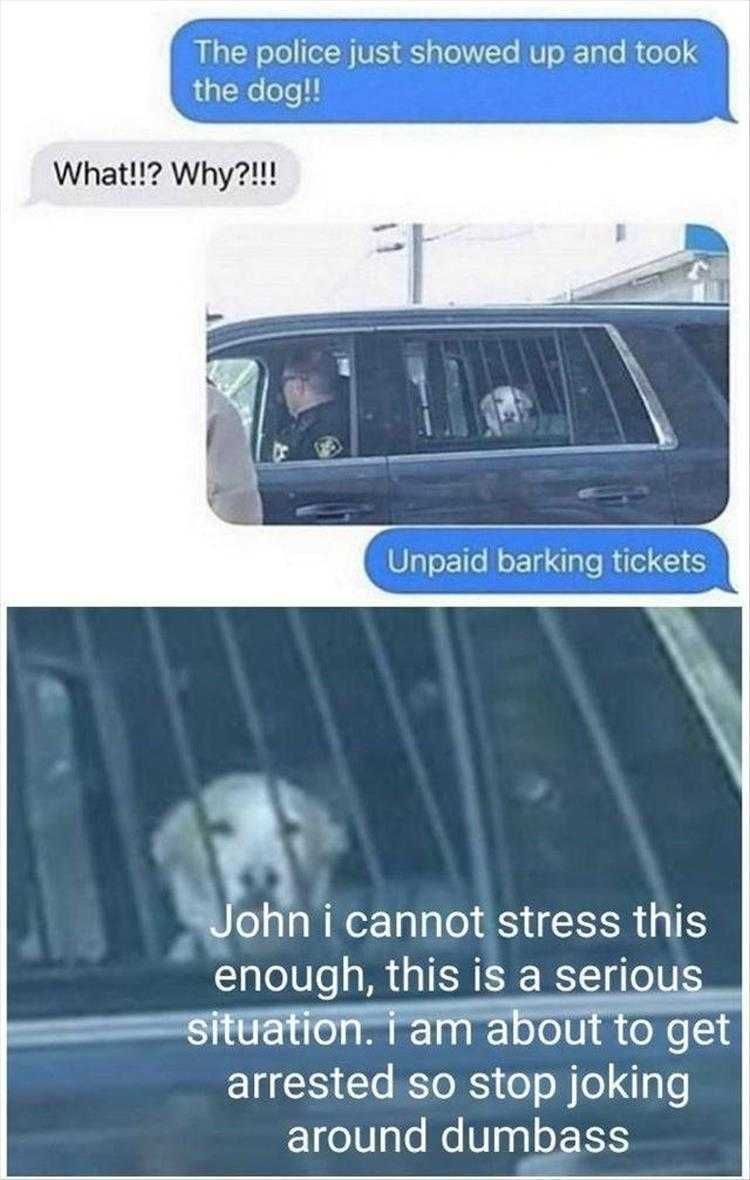 Funny Animal Photos With Captions Unpaid Barking