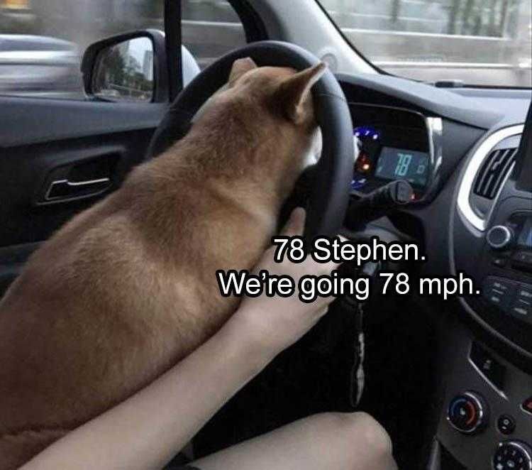 Comical Animal Pics Dogometer