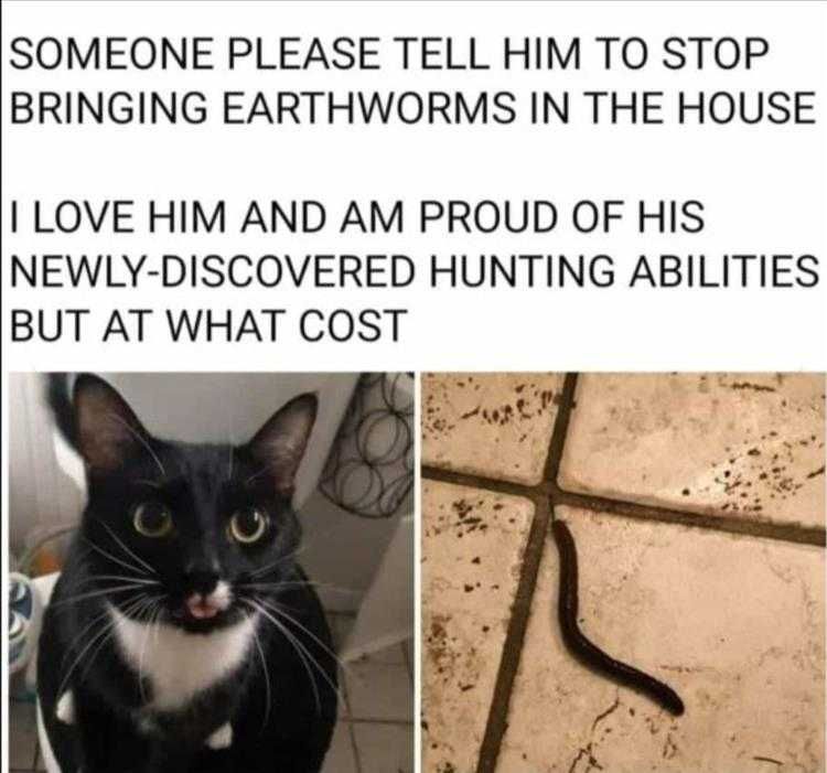 Comical Animal Pictures Earthworm Hunter