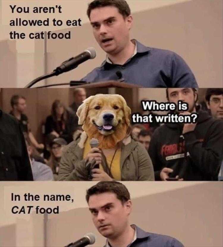 Funny Animal Photos With Captions Legal Hound