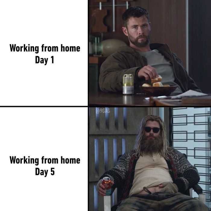 Work16 Hilarious Work From Home Memes Didn'T Take Long