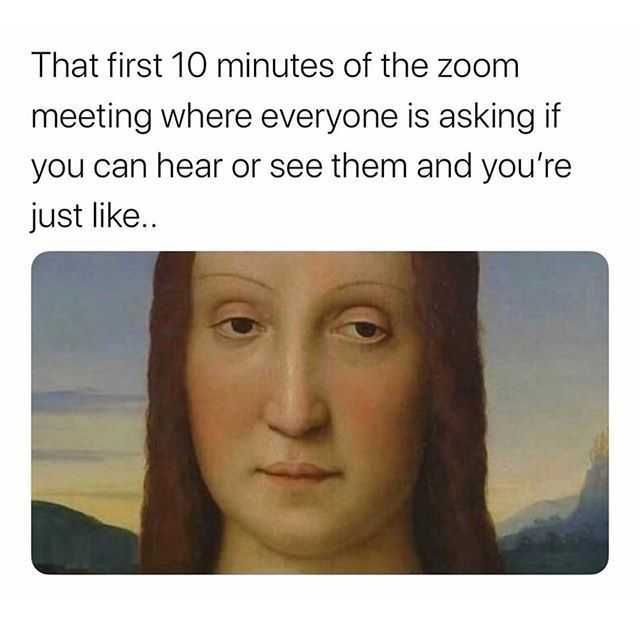 Work19 Hilarious Work From Home Memes Hello?