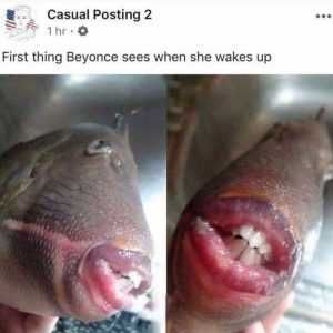 5Um0Tvxo48U21 Relatable Queen Bey Memes Wake Up Pic