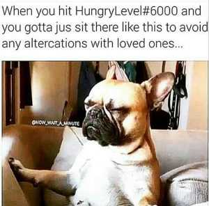 Relatable Hungry Memes  Staying Quiet