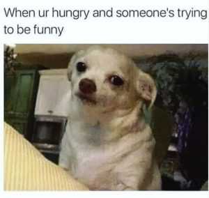 Relatable Hungry Memes  Not Funny