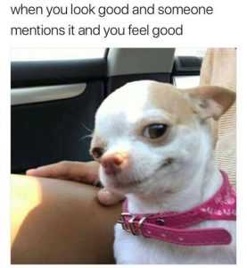 Adorable Dog Pictures  Loving It.