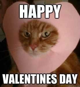Dee1Ec8028C9Dee98177D27897464C06 Valentines Memes Kitty Card