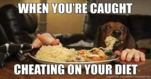 Diet-Meal-Funny-Memes-Cheat-Memes-Animal-Memes-Animals-6129157 Hilarious Diet Memes Cheating On Your Diet
