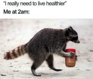 Diet-Meme-2 Hilarious Diet Memes 2 Am Snack