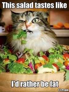Id-Rather-Be-Fat Hilarious Diet Memes Taste Of Salad