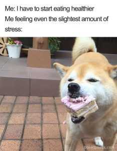 Relatable Hungry Memes  Stress Eating Doesn't Count