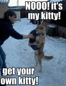 Nobody-Could-Break-Up-Their-Forbidden-Love Pictures Of Cats And Dogs Getting Along My Kitty