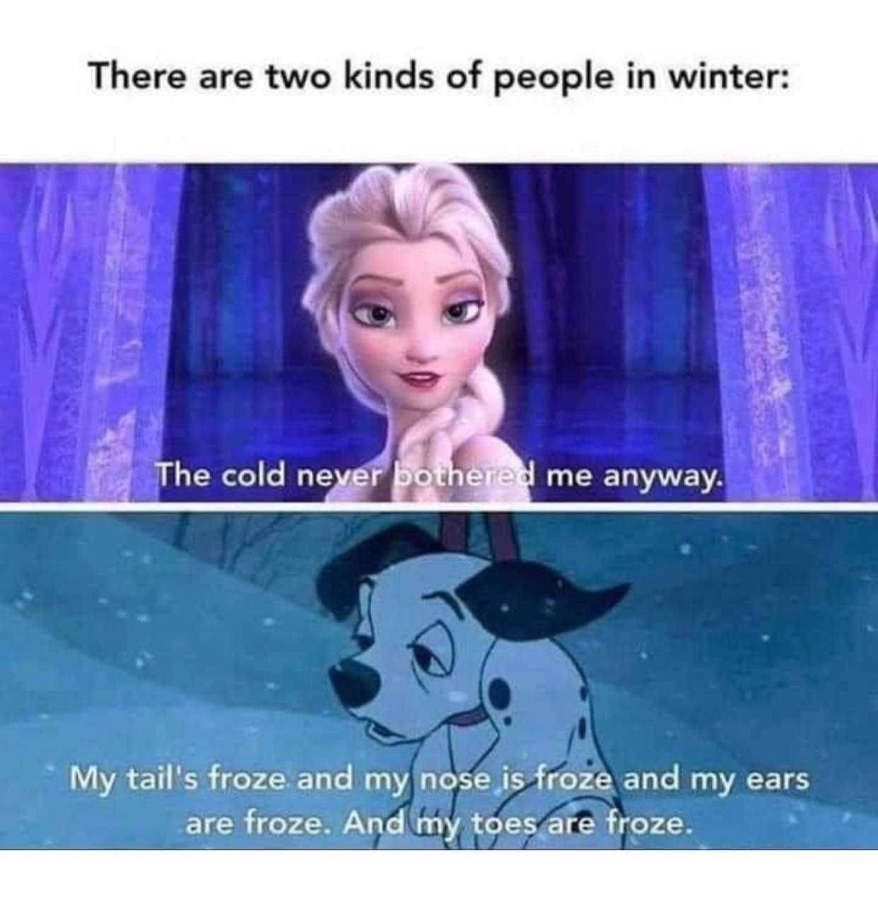 Snow-Meme-2021-Disney-Kind Texas Freeze Memes Two Types Of People