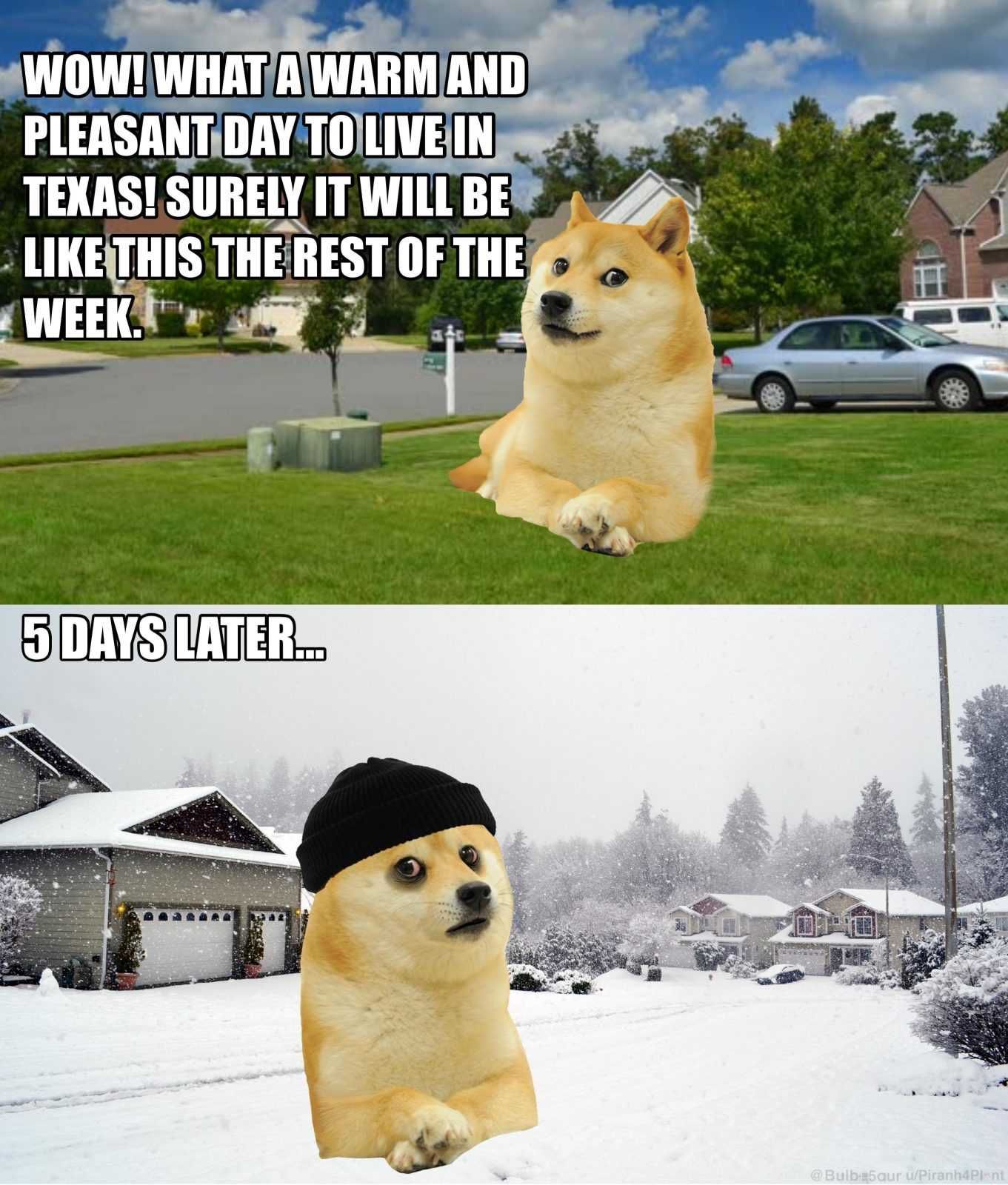 Snow-Meme-2021-Doge-Texas Texas Freeze Memes Texas Differences