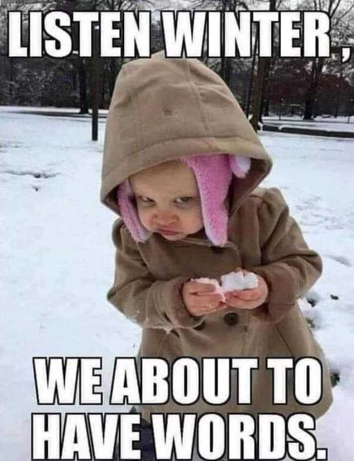 Snow-Meme-2021-Have-Words Texas Freeze Memes Need To Have Words