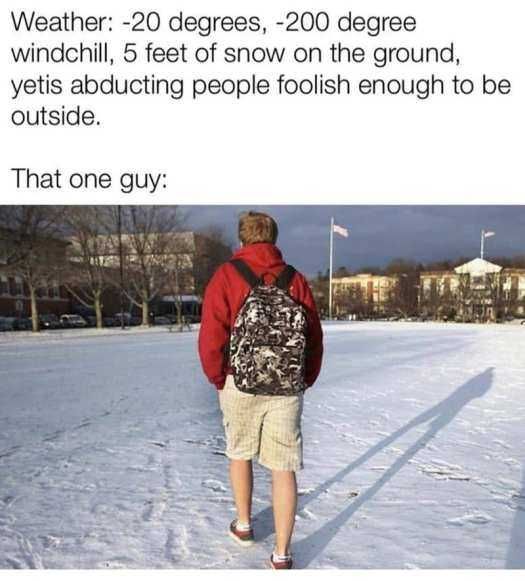 Snow-Meme-2021-That-One-Guy Texas Freeze Memes The Yeti