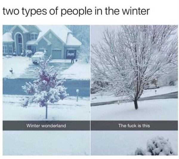 Snow-Meme-2021-Two-Kinds Texas Freeze Memes Every Coin Has Two Sides