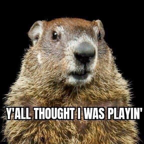 Snow-Meme-Winter-2021-Thought-Playing Texas Freeze Memes Ground Hog Not Playin'